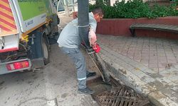 Kemer'de mazgallar temizlendi