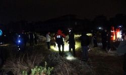 Antalya'da hortum işçilerin kaldığı 2 konteyneri savurdu: 4 ölü, 1 yaralı