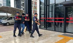 Alanya'da kuşlara vahşet uygulayan şüpheli tutuklandı