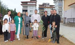 Alanya'da minik eller zeytin fidanlarını toprakla buluşturdu
