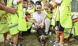 Muratpaşa'da 2026'da 287 sokak hayvanı yeni yuvasına kavuştu