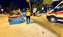 Otomobil palmiyeye daldı: 2 yaralı