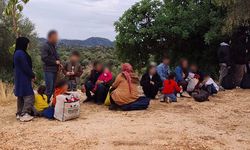 Demre'de düzensiz göçmen operasyonu