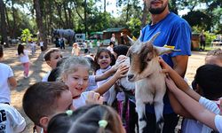 Minikler hayvanları yakından tanıdı
