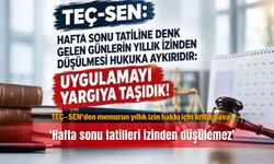 TEÇ-SEN'den memurun yıllık izin hakkı için kritik dava:‘Hafta sonu tatilleri izinden düşülemez’