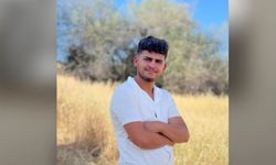 Virajı alamayan otomobil yoldan çıktı