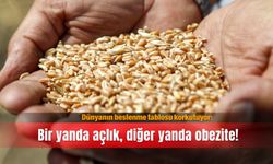 Dünyanın beslenme tablosu korkutuyor: Bir yanda açlık, diğer yanda obezite!
