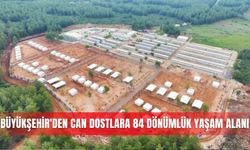 Büyükşehir'den can dostlara 84 bin metrekarelik yaşam alanı