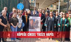 Köpeğe cinsel tacize hapis