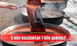 Akseki'nin şifa kaynağı: 5 kilo kozalaktan 1 kilo pekmez!