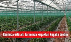 Kumluca örtü altı tarımında kuşaktan kuşağa üretim