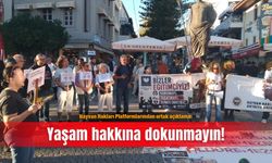 Hayvan Hakları Platformlarından ortak açıklama: Yaşam hakkına dokunmayın!