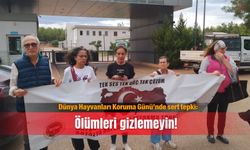 Dünya Hayvanları Koruma Günü’nde sert tepki: Ölümleri gizlemeyin!