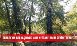 İbradı’nın bin yaşındaki anıt kestanelerine zehirli tehdit