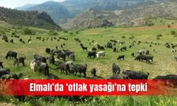 Elmalı’da ‘otlak yasağı’na tepki