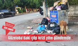 Güzeloba'daki çöp krizi yine gündemde
