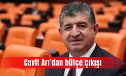 Cavit Arı’dan bütçe çıkışı