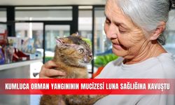 Kumluca orman yangınının mucizesi Luna sağlığına kavuştu