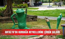 Antalya'da kurbağa heykellerine çirkin saldırı