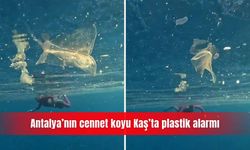 Antalya’nın cennet koyu Kaş’ta plastik alarmı