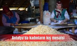 Antalya'da kadınların kış mesaisi
