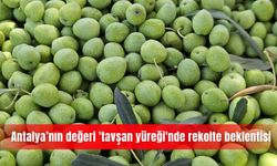Antalya’nın değeri 'tavşan yüreği'nde rekolte beklentisi