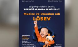 LÖSEV'den ‘Turuncu Farkındalık Hareketi’
