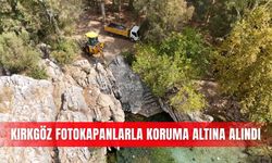 Kırkgöz fotokapanlarla koruma altına alındı