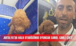 Antalya’da halk otobüsünde oyuncak sandı, canlı çıktı
