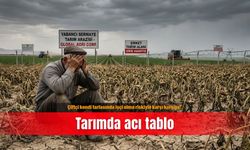 Çiftçi kendi tarlasında işçi olma riskiyle karşı karşıya! Tarımda acı tablo