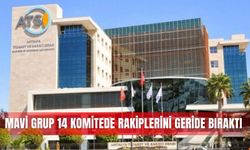 Mavi grup 14 komitede rakiplerini geride bıraktı