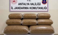 Kaçak tütün operasyonlarında 408 kilogram kıyılmış tütün ele geçirildi