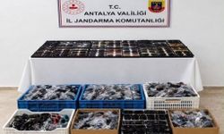 Antalya'da kaçakçılık operasyonu
