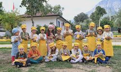 Konyaaltı'nda zeytinler miniklerden