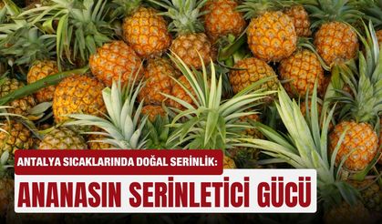 Antalya sıcaklarında doğal serinlik: Ananasın serinletici gücü