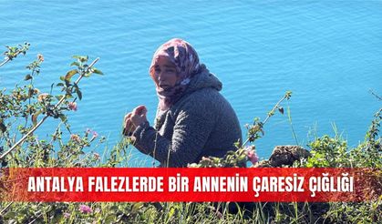 Antalya falezlerde bir annenin çaresiz çığlığı