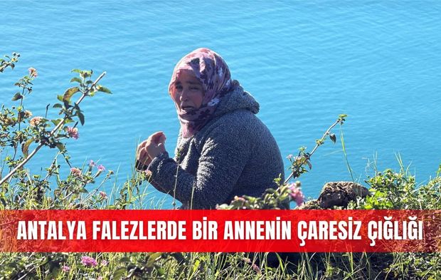 Antalya falezlerde bir annenin çaresiz çığlığı
