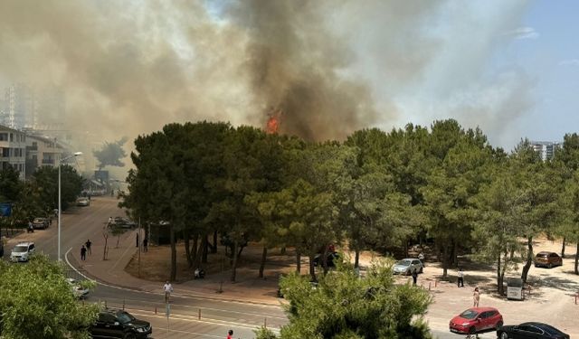 İki ayrı noktada korkutan yangın