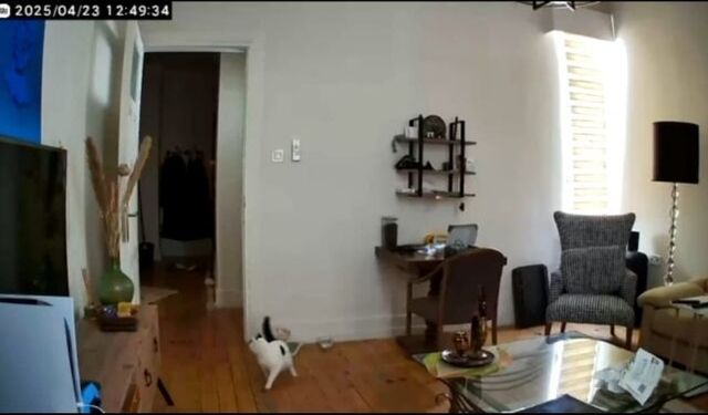 Marmara'da 6.2'lik deprem: Korku dolu anlar kamerada