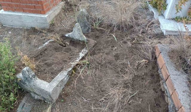 Yaban domuzları mezarlara zarar verdi!