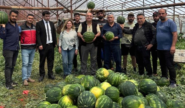Üreticinin beklentisi yüksek