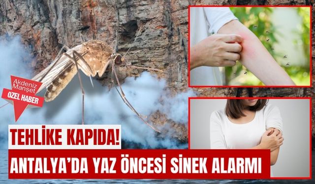 Antalya’da yaz öncesi sinek alarmı: Tehlike kapıda!