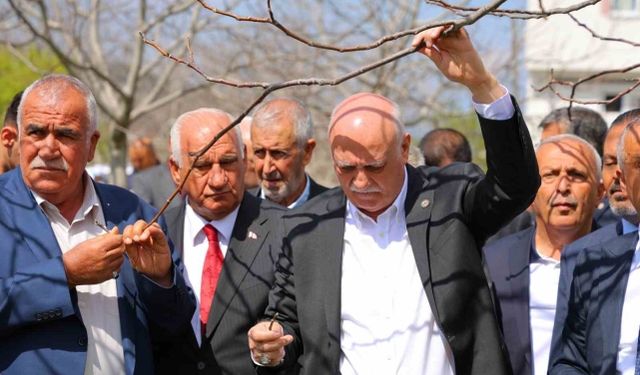 TZOB Genel Başkanı Bayraktar: "65 ilimizde meyve bahçelerimiz don felaketinden etkilendi"