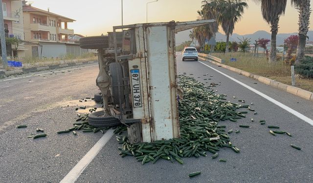 Salatalıklar yola savruldu