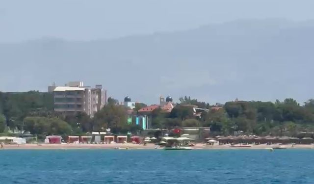 Akdeniz’de misafir: Akdeniz foku görüntülendi