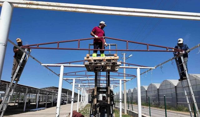 Serik’te kurban pazarı hazır: Çandır’da son dokunuşlar