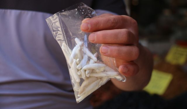 Dünyanın en pahalı sakızı, çeyrek altını geçti yarım altınla yarışıyor
