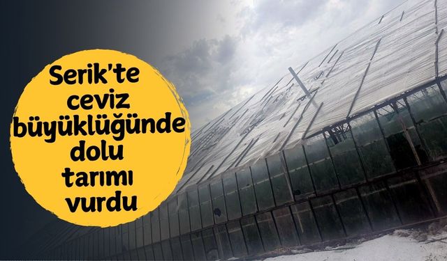 Serik'te ceviz büyüklüğünde dolu tarımı vurdu