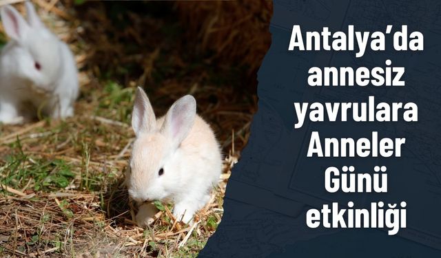 Antalya’da annesiz yavrulara Anneler Günü etkinliği