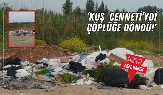 ‘Kuş cenneti’ydi çöplüğe döndü!'